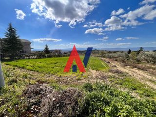 Αγροτεμάχια 6.740 τ.μ. για πώληση