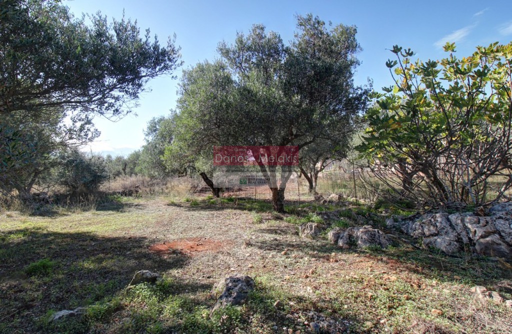 Οικόπεδο 1.383 τ.μ. προς πώληση, Κεφαλάς Βάμου