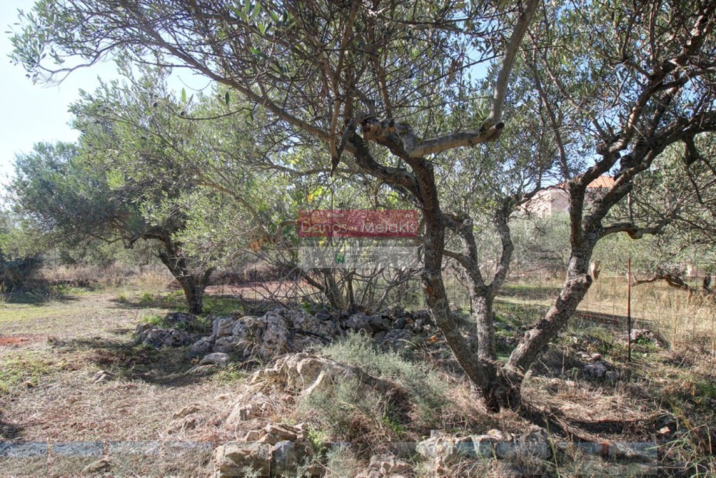 Οικόπεδο 1.383 τ.μ. προς πώληση, Κεφαλάς Βάμου