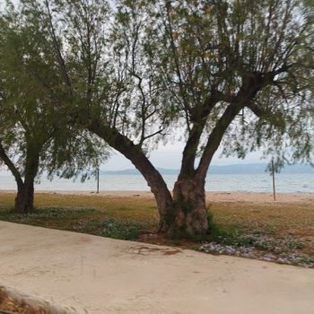 Μονοκατοικία 75 τ.μ. προς ενοικίαση