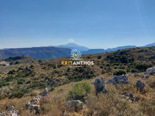 Αγροτεμάχια 76.877,97 τ.μ. για πώληση, Ν. Ρεθύμνου, Ρέθυμνο-thumb-8