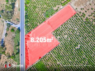 Αγροτεμάχια 8.205,68 τ.μ. για πώληση