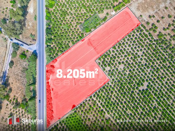 Αγροτεμάχια 8.205,68 τ.μ. για πώληση, Αργολίδα, Ναύπλιο