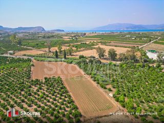 Αγροτεμάχια 8.205,68 τ.μ. για πώληση, Αργολίδα, Ναύπλιο-thumb-5