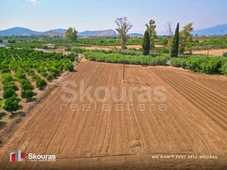 Αγροτεμάχια 8.205,68 τ.μ. για πώληση, Αργολίδα, Ναύπλιο-thumb-19