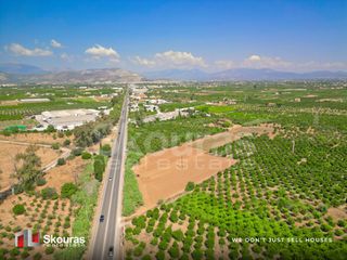 Αγροτεμάχια 8.205,68 τ.μ. για πώληση, Αργολίδα, Ναύπλιο-thumb-9