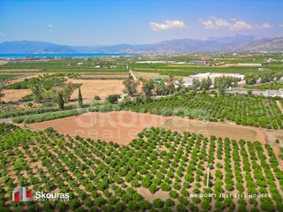 Αγροτεμάχια 8.205,68 τ.μ. για πώληση, Αργολίδα, Ναύπλιο-thumb-7