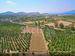 Αγροτεμάχια 8.205,68 τ.μ. για πώληση, Αργολίδα, Ναύπλιο-thumb-4