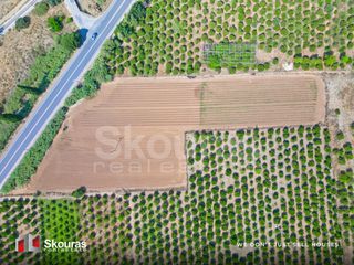 Αγροτεμάχια 8.205,68 τ.μ. για πώληση, Αργολίδα, Ναύπλιο-thumb-22