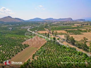 Αγροτεμάχια 8.205,68 τ.μ. για πώληση, Αργολίδα, Ναύπλιο-thumb-15