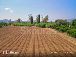 Αγροτεμάχια 8.205,68 τ.μ. για πώληση, Αργολίδα, Ναύπλιο-thumb-18