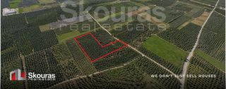 Αγροτεμάχια 9.049 τ.μ. για πώληση