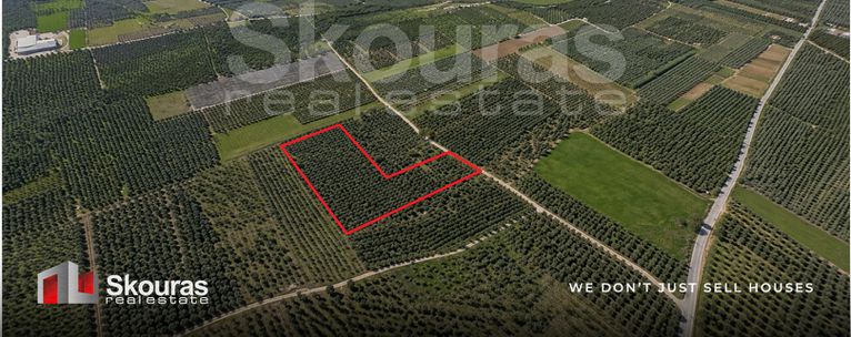 Αγροτεμάχια 9.049 τ.μ. για πώληση, Αργολίδα, Μιδέα