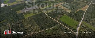 Αγροτεμάχια 9.049 τ.μ. για πώληση, Αργολίδα, Μιδέα-thumb-2
