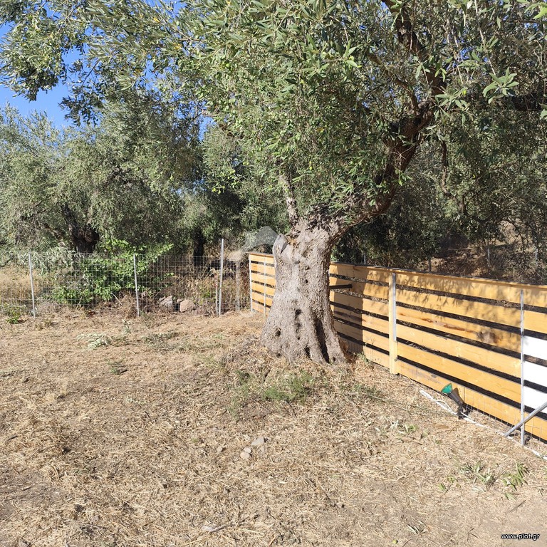 Οικόπεδο 600 τ.μ. πρός πώληση, Εύβοια, Αρτεμίσιο
