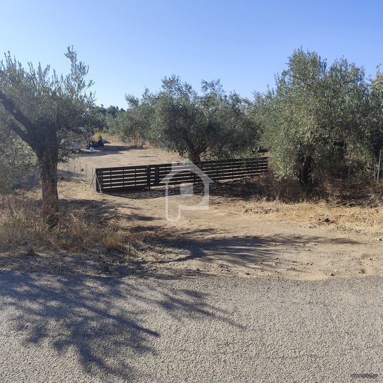 Οικόπεδο 600 τ.μ. πρός πώληση, Εύβοια, Αρτεμίσιο