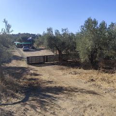 Οικόπεδο 600 τ.μ. πρός πώληση, Εύβοια, Αρτεμίσιο-thumb-5