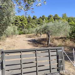 Οικόπεδο 600 τ.μ. πρός πώληση, Εύβοια, Αρτεμίσιο-thumb-6