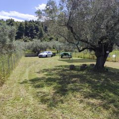 Οικόπεδο 600 τ.μ. πρός πώληση, Εύβοια, Αρτεμίσιο-thumb-8