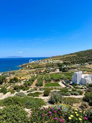 Οικόπεδο 5.363 τ.μ. για πώληση