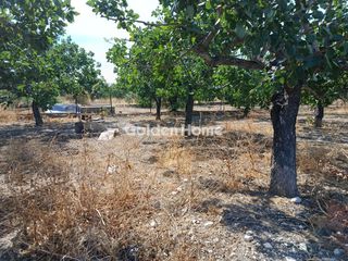 Οικόπεδο 466 τ.μ. για πώληση, Ν. Άρτας, Αθαμάνιο-thumb-2