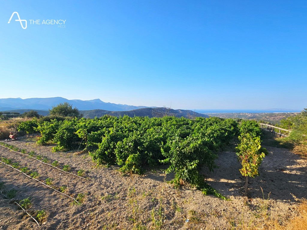 Φάρμα / ράντσο 370 τ.μ. πρός πώληση, Ν. Ηρακλείου, Ηράκλειο Κρήτης