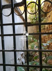 Κατάστημα 240 τ.μ. προς πώληση, Εργοχώρι-thumb-15
