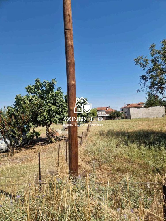 Οικόπεδο 1.000 τ.μ. πρός πώληση, Ημαθία, Απόστολος Παύλος