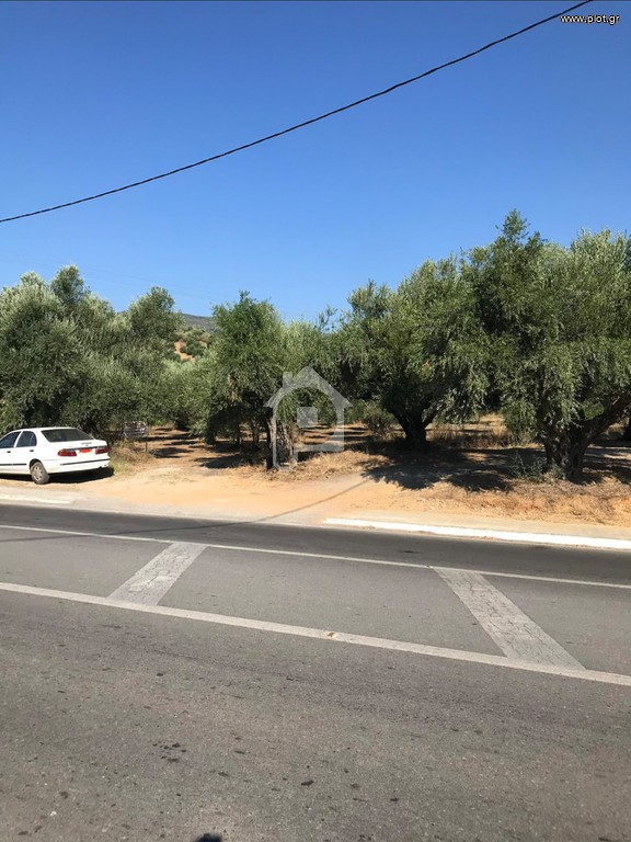 Οικόπεδο 10.000 τ.μ. προς πώληση, Χωσιάρι