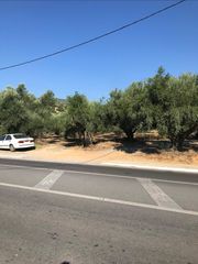 Οικόπεδο 10.000 τ.μ. για πώληση