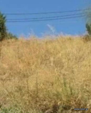 Οικόπεδο 472 τ.μ. προς πώληση, Πηγαδάκια Βούλας