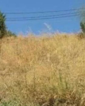Οικόπεδο 472 τ.μ. προς πώληση