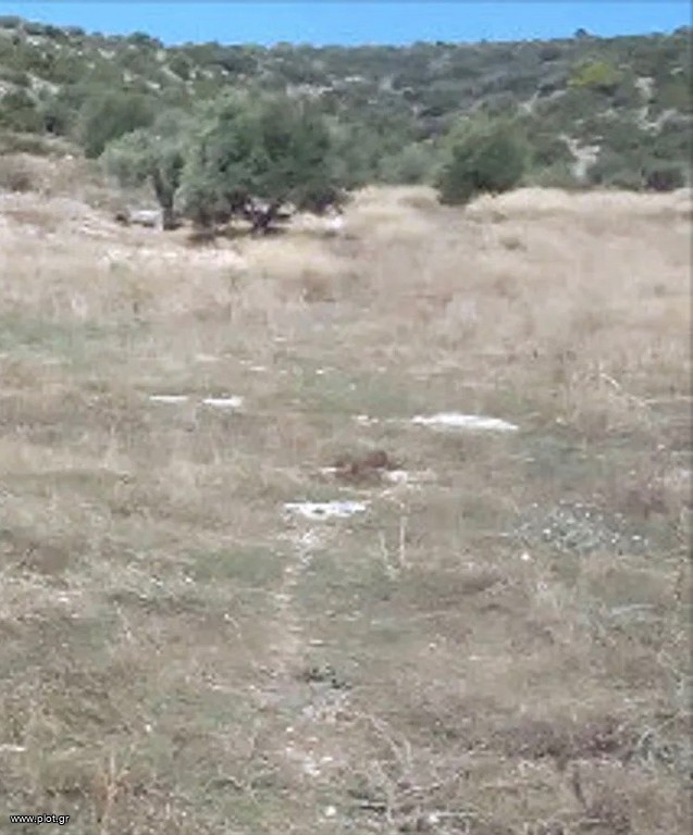 Οικόπεδο 5.010 τ.μ. πρός πώληση, Αθήνα - Ανατολικά Προάστια, Κορωπί