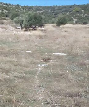 Οικόπεδο 5.010 τ.μ. προς πώληση