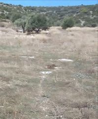 Οικόπεδο 5.010 τ.μ. για πώληση