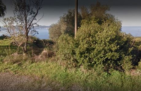 Οικόπεδο 974 τ.μ. πρός πώληση