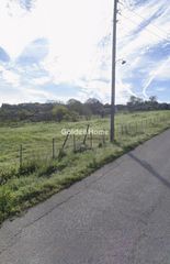 Αγροτεμάχια 2.978 τ.μ. πρός πώληση, Ν. Ηλείας, Πηνεία-thumb-1