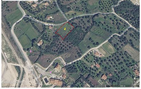 Αγροτεμάχια 2.071 τ.μ. πρός ενοικίαση