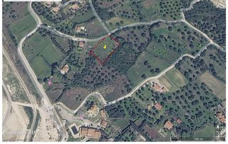 Αγροτεμάχια 2.071 τ.μ. για ενοικίαση