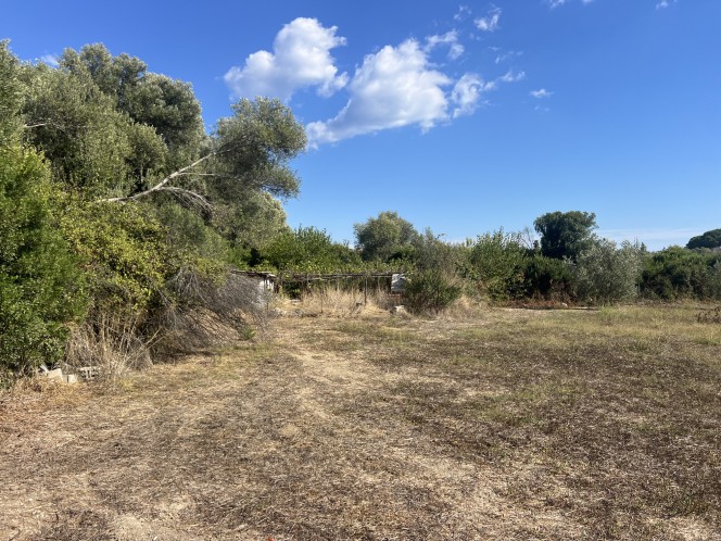 Αγροτεμάχια 2.071 τ.μ. πρός ενοικίαση, Ν. Κεφαλονιάς, Κεφαλονιά