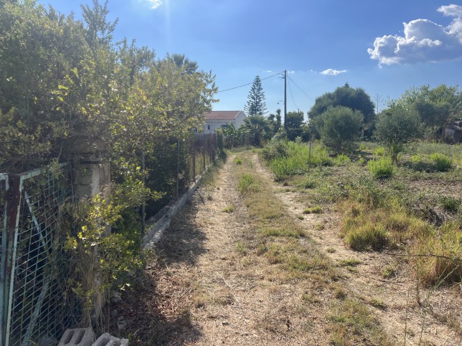 Αγροτεμάχια 2.071 τ.μ. πρός ενοικίαση, Ν. Κεφαλονιάς, Κεφαλονιά