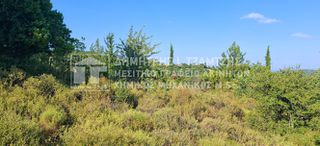 Αγροτεμάχια 22.000 τ.μ. για πώληση
