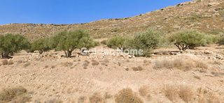 Land plot 95.000 sqm for sale