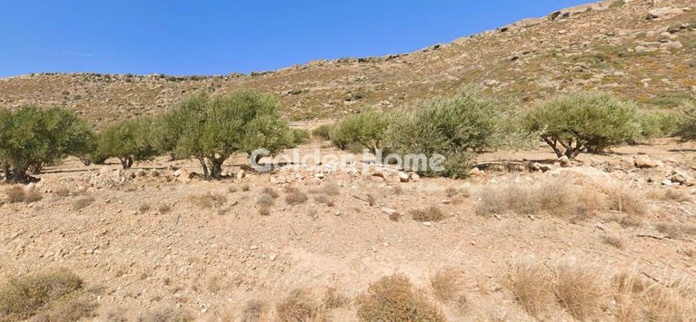 Οικόπεδο 95.000 τ.μ. για πώληση, Ν. Λασιθίου, Σητεία