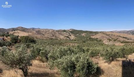 Αγροτεμάχια 35.000 τ.μ. πρός πώληση
