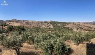 Αγροτεμάχια 35.000 τ.μ. για πώληση