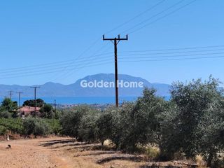 Οικόπεδο 4.200 τ.μ. για πώληση, Κορινθία, Βέλο-thumb-1