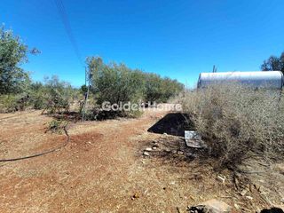 Οικόπεδο 4.200 τ.μ. για πώληση, Κορινθία, Βέλο-thumb-11
