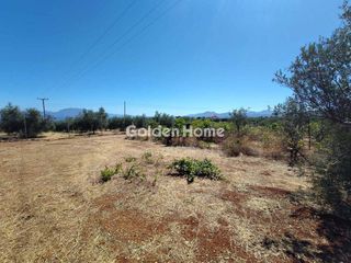 Οικόπεδο 4.200 τ.μ. για πώληση, Κορινθία, Βέλο-thumb-3