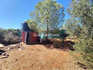 Οικόπεδο 4.200 τ.μ. για πώληση, Κορινθία, Βέλο-thumb-9